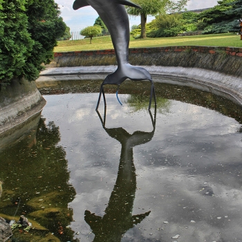 fontanna Delfin